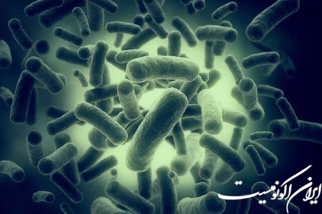 نابودی ده‌ها نوع از سرسخت‌ترین باکتری‌ها با ابداع یک آنتی‌بیوتیک جدید