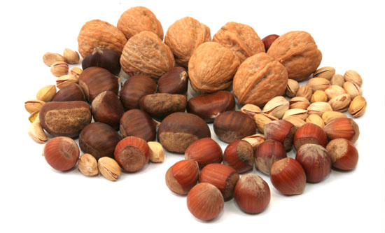 تولید خشکبار