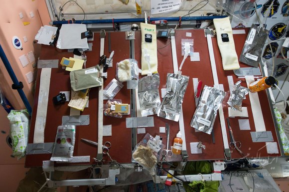 فضا نورد آمریکایی پس از یکسال حضور در فضا به زمین بازگشت
