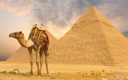 اهرام مصر نماددوره پادشاهی کهن/تصاویر