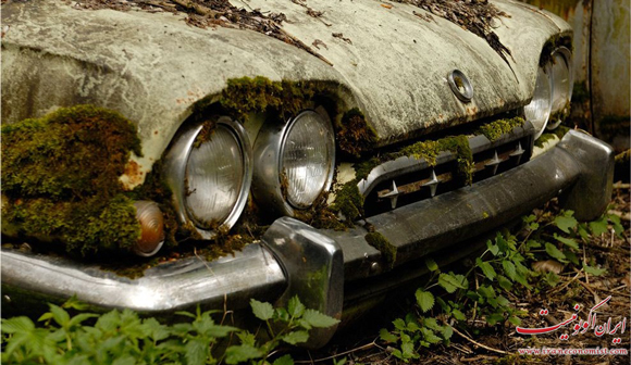 تصاویر دیدنی از گورستان اتومبیل های کلاسیک در سوییس