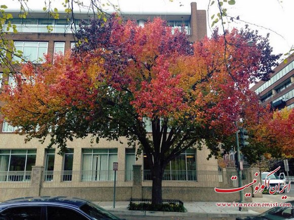 جادوی رنگ پاییز را در این تصاویر زیبا ببینید