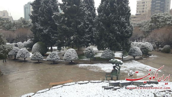 برف بهمنی در پارک ساعی