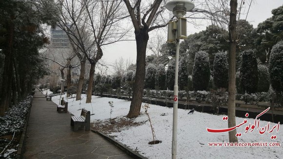 برف بهمنی در پارک ساعی