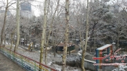 نخستین برف بهمن ماه در پارک ساعی + تصاویر
