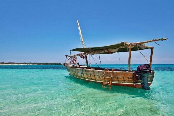 تصاویری از جزیره زیبای زنگبار در تانزانیا
