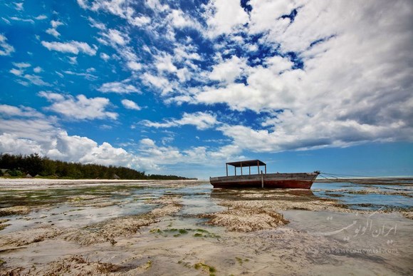 تصاویری از جزیره زیبای زنگبار در تانزانیا