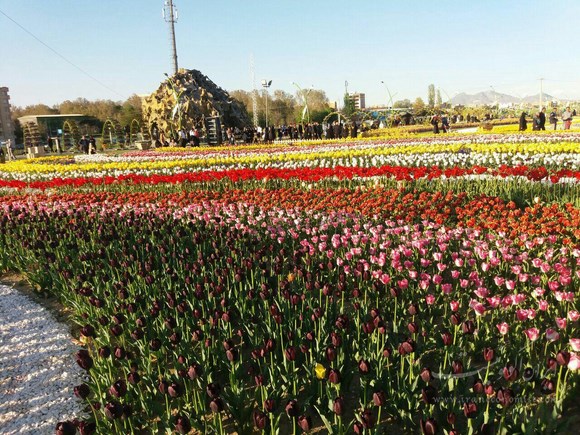 پارک باغ گلها بلوار امام علی ارومیه 