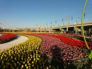 پارک باغ گلهای ارومیه + تصاویر