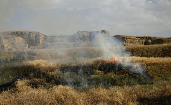 آتش سوزی در محوطه باستانی هگمتانه + تصاویر