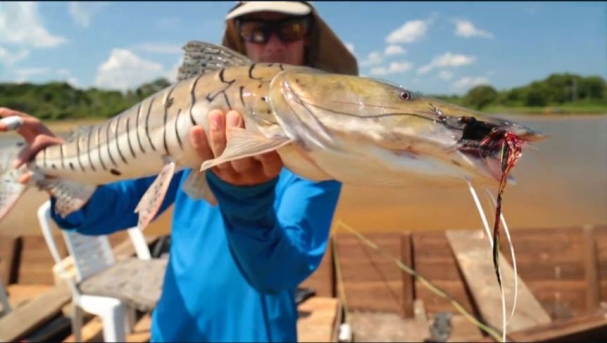 فیلم : شکار ماهی هیولا در رودخانه آمازون