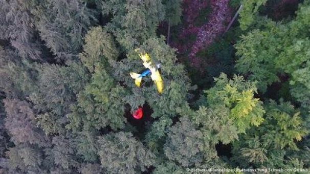 سقوط هواپیما روی درخت و آویزان ماندن خلبان از ارتفاع 30 متری (+عکس)