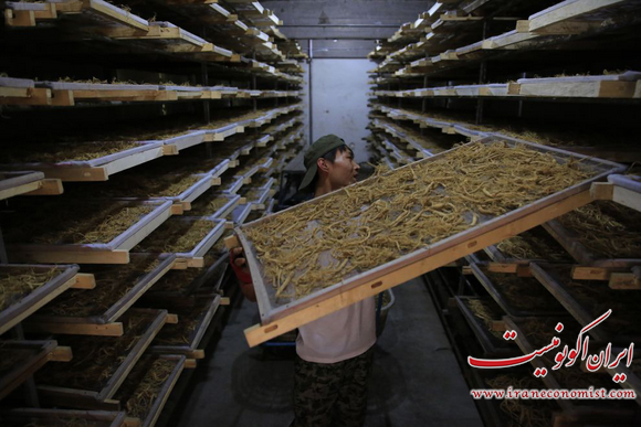 نگاهی به صنایع غذایی چین