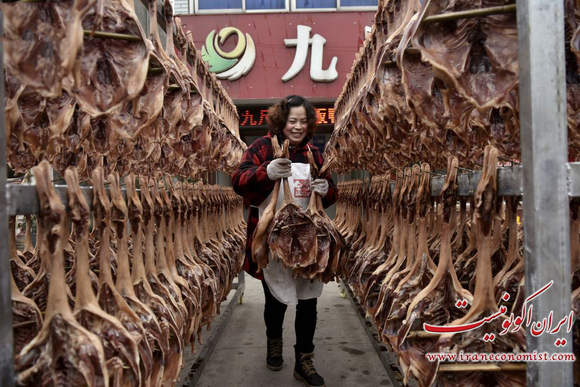 نگاهی به صنایع غذایی چین
