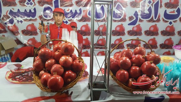  نمایشگاه انار و میوه های قرآنی
