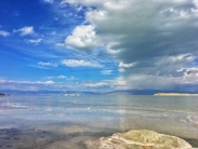 تصاویر | زیبایی زندگی دوباره دریاچه ارومیه