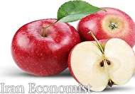 ۱۱ خاصیت شگفت انگیز سیب برای سلامت بدن+ اینفوگرافی