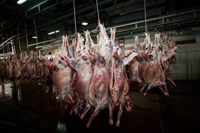 دپوی ۱۷۰ تن گوشت تنظیم بازار در یک سردخانه