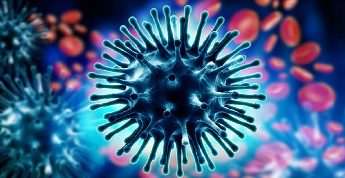 آنفولانزای خوکی؛ از شایعه تا واقعیت/ افراد در معرض خطر هوشیار باشند
