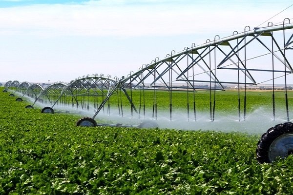 بهره وری ۶ درصدی آب در بخش کشاورزی/سالانه ۲۵۰ هزار هکتار از اراضی به سامانه نوین آبیاری تجهیز می‌شود