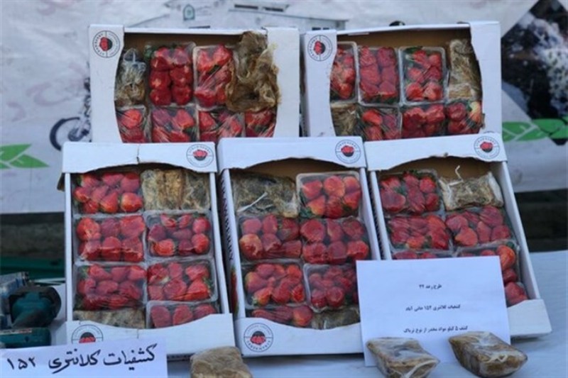 محموله تریاک در میدان میوه و تره‌بار مرکزی تهران کشف شد