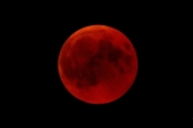 ماه خونین در آسمان، جهان را شگفت‌زده کرد+ تصاویر
