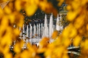 تصاویر | مسکو به رنگ پاییز
