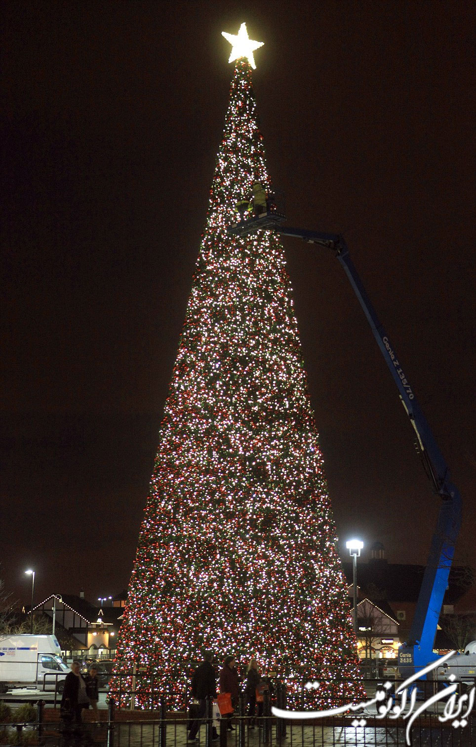 تصاویر: نورپردازی بزرگترین درخت کریسمس