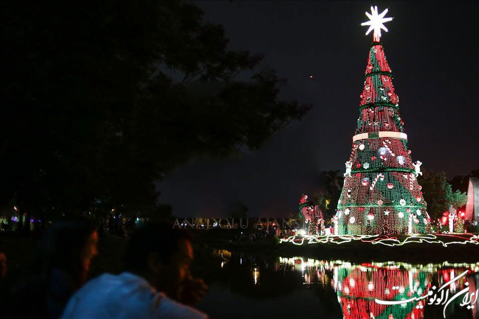 تصاویر: نورپردازی بزرگترین درخت کریسمس