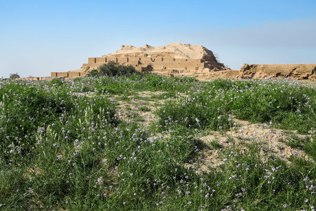 تعطیلی محوطه‌های باستانی استان خوزستان تا اعلام وضعیت سفید