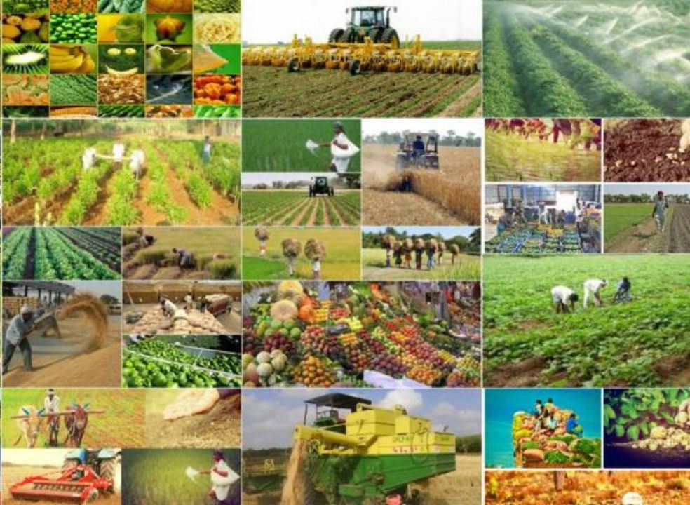 خبر عید عملکرد وزارت جهاد کشاورزی//رشد ۱۲ درصدی تولید محصولات کشاورزی/قیمت محصولات کشاورزی جوابگوی هزینه کشاورزان است