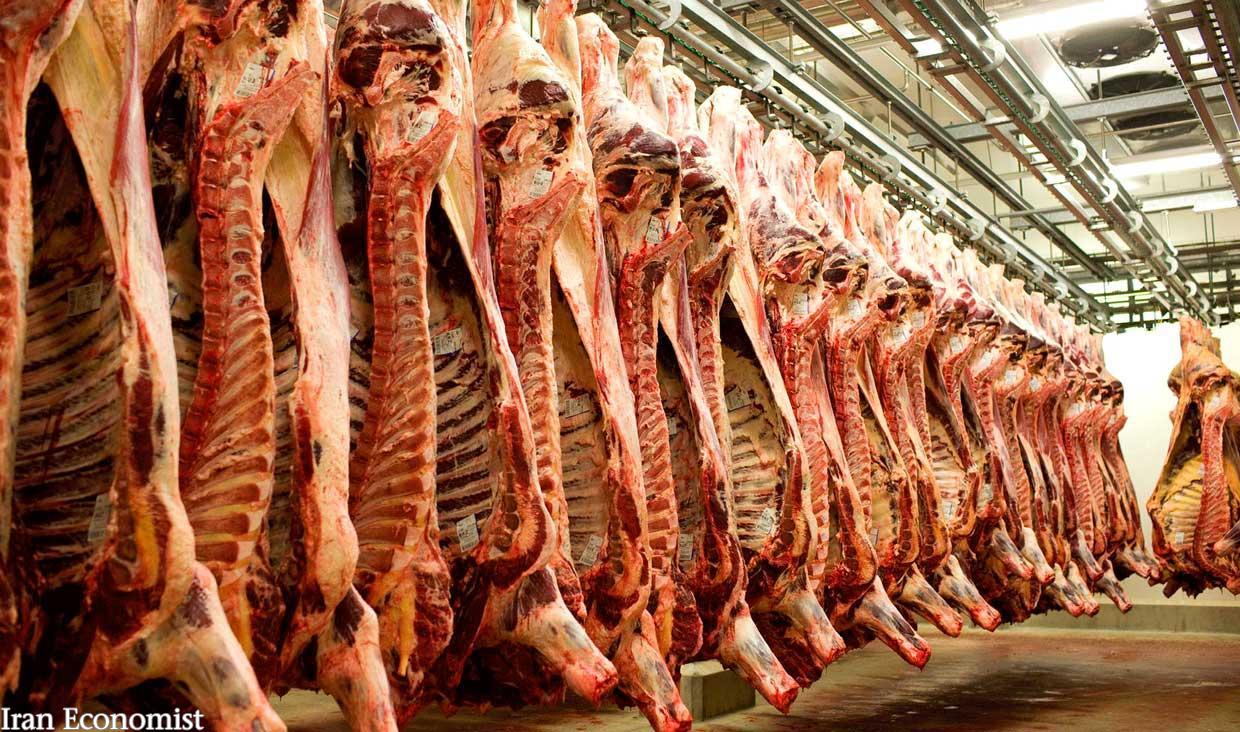 گوشت ارزان شد/ نرخ هر کیلو دام زنده ۳۴ هزار تومان