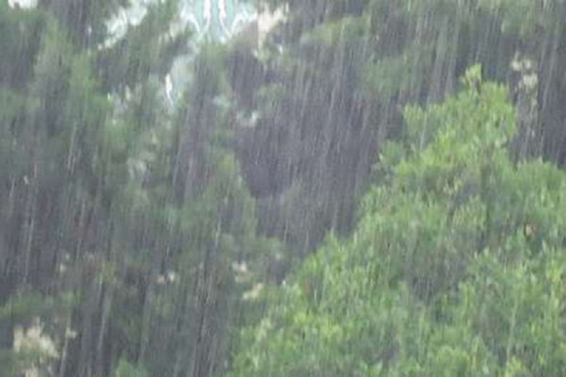 افزایش ابر و بارش باران از شامگاه شنبه درالبرز