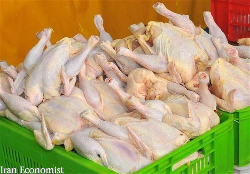 قیمت مرغ در بازار آزاد به ۱۳۵۰۰ تومان کاهش یافت