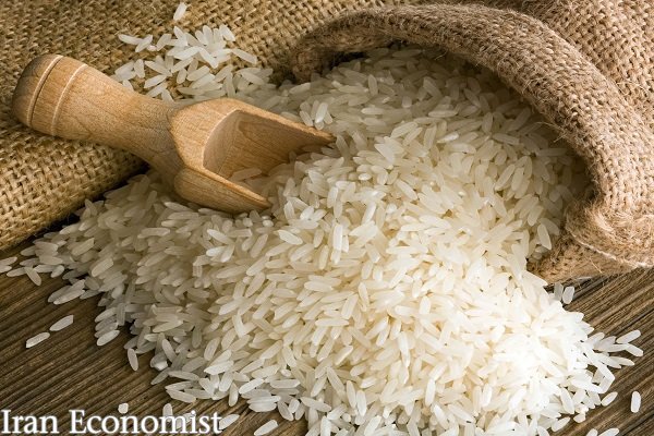 خسارت سیل به تولید برنج جدی نبوده است
