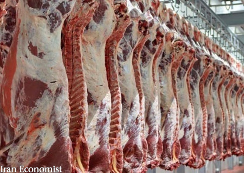نرخ گوشت گوسفندی ۵ هزار تومان کاهش یافت
