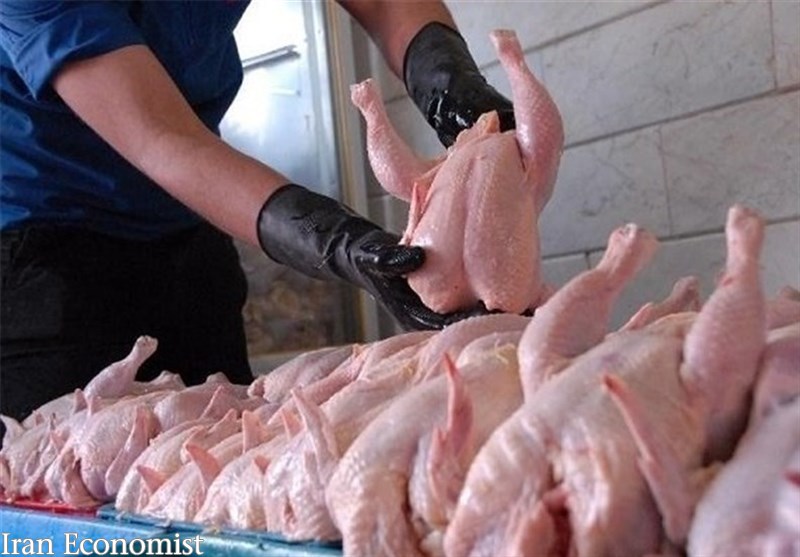 نوسان قیمت مرغ در بازار/قیمت مرغ به ۱۵ هزار و ۵۰۰ تومان رسید