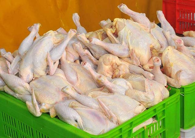 کمبودی در عرضه مرغ ایام نوروز نداریم/ تولید ماهانه ۱۸۰ هزارتن گوشت مرغ در کشور