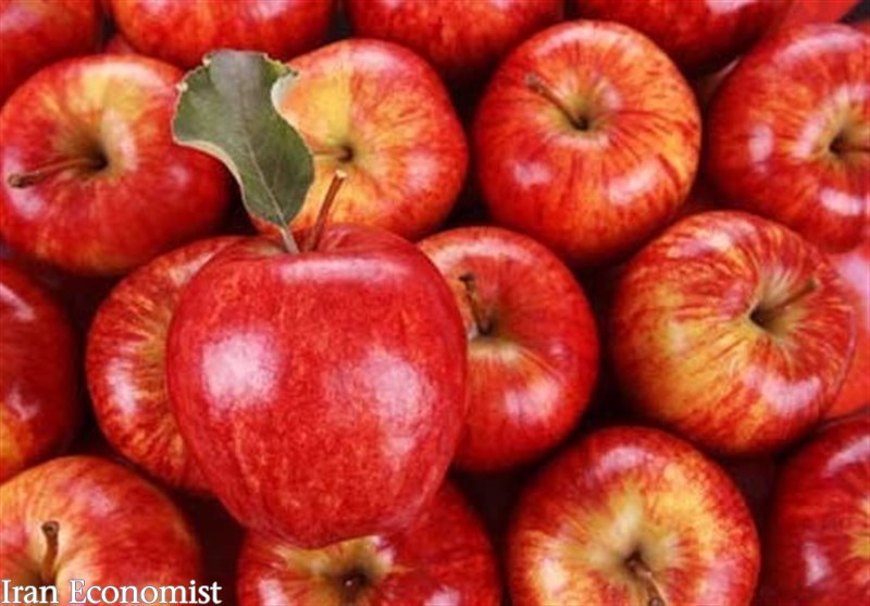 صدور مجوز واردات موز، انبه و آناناس در ازای صادرات سیب درختی