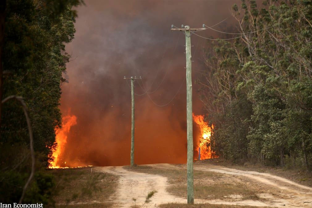 تصاویر|حریق‌های جنگلی استرالیا قبل و بعد از آتش‌سوزی