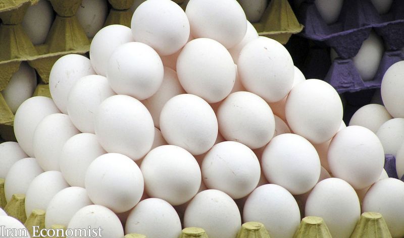 صدور ۲۷ هزار تن تخم‌مرغ به کشورهای حاشیه خلیج فارس