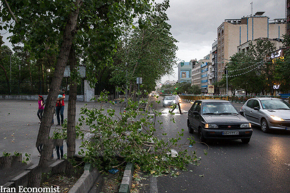 تصاویر: طوفان شدید در تهران