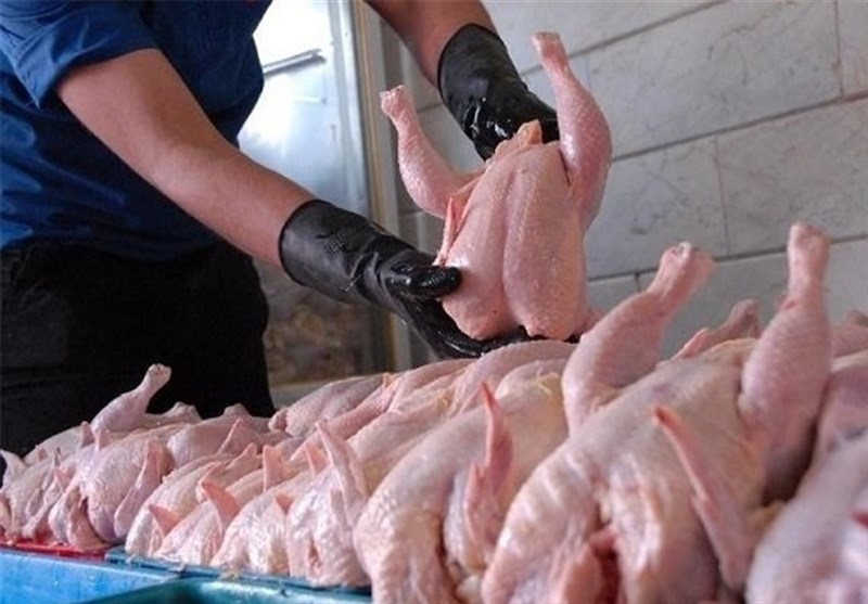 ثبات نرخ مرغ در بازار/ قیمت هر کیلو مرغ به ۹ هزار و ۸۰۰ تومان رسید