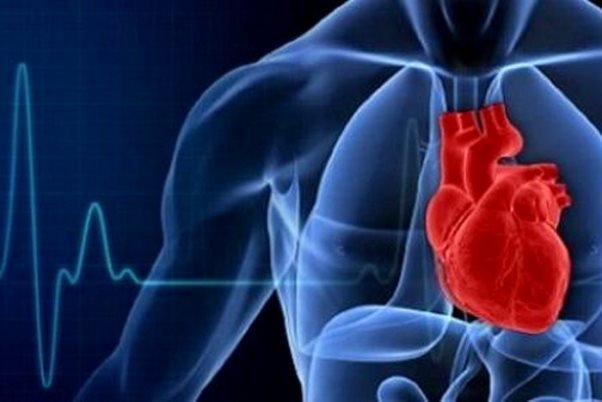 تناسب قلب و عروق می تواند از حمله قلبی در زنان پیشگیری کند