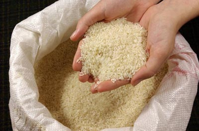 ارز واردات برنج همچنان ۴,۲۰۰ تومان است/ کمبودی در بازار وجود ندارد