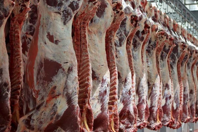 ادامه روند کاهش قیمت گوشت قرمز