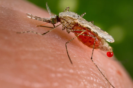 همجواری ایران با کشورهای مالاریا خیز دنیا