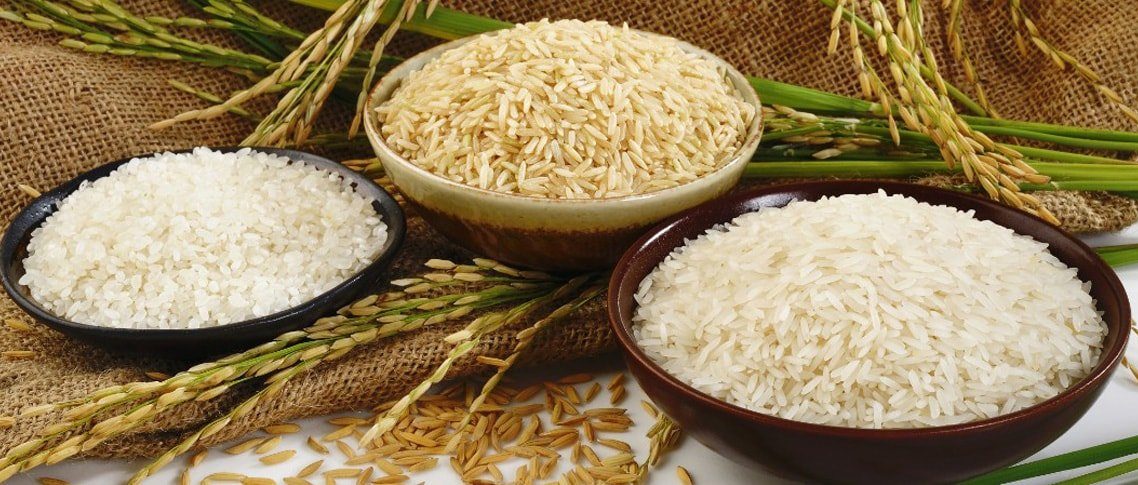 سامانه خرید مستقیم برنج از کشاورزان مازندران راه اندازی شد