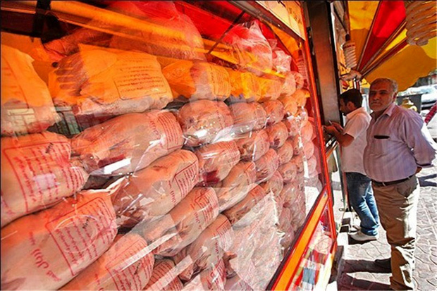 آخرین تحولات بازار مرغ/ قیمت هر کیلو مرغ گرم حداکثر ۱۲ هزار تومان است