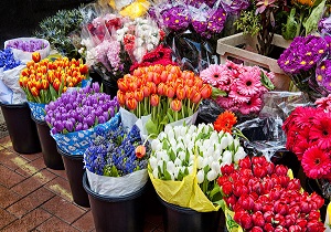 روز/// افزایش قیمتی برای گل در عید فطر نداریم/ افزایش ۴۰۰ درصدی متعلقات گل در بازار
